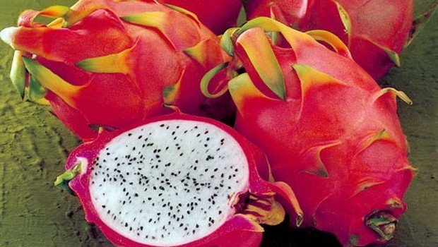 http://fruit-island.ru/images/upload/pitaya1.jpg