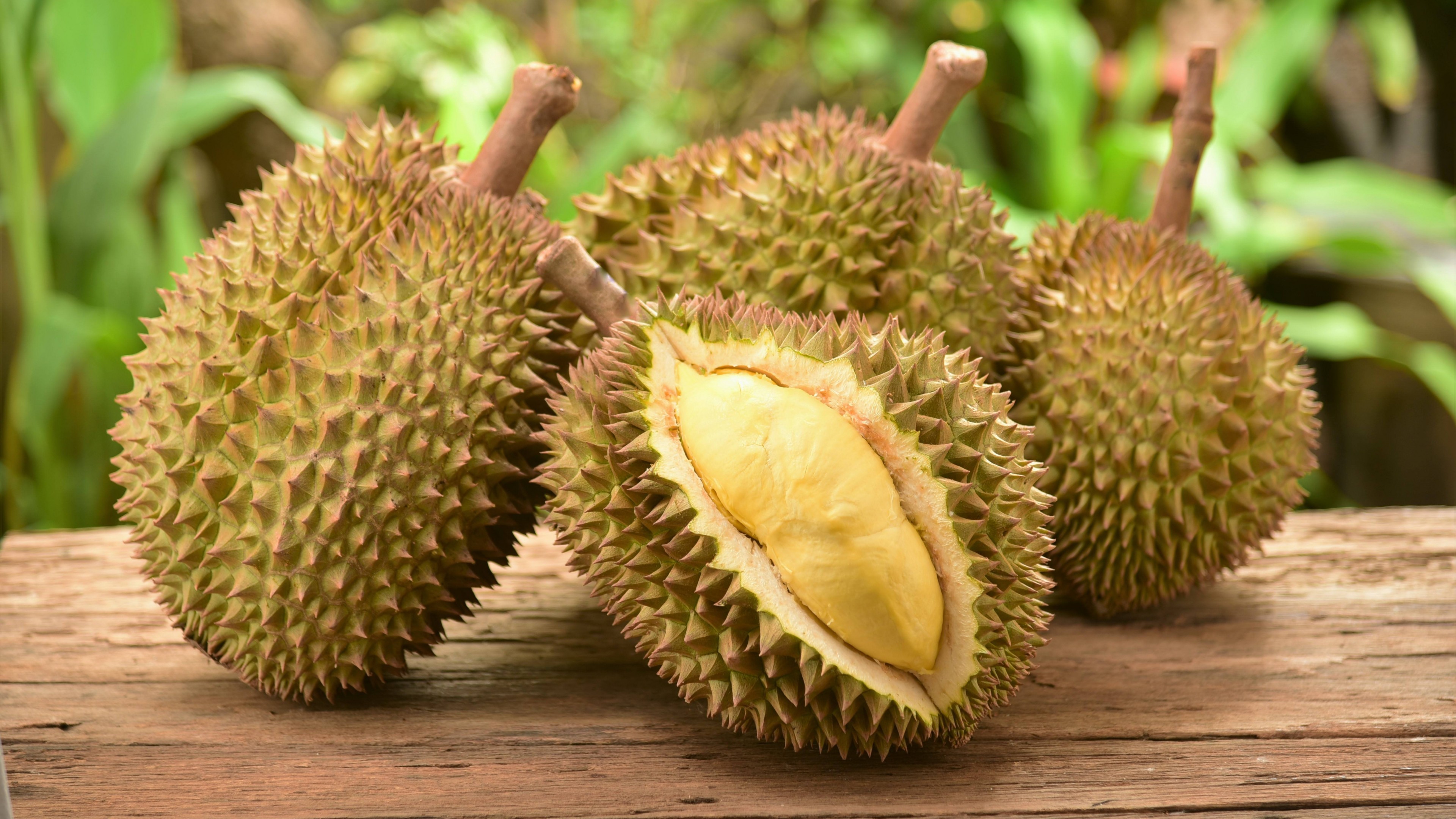 https://fruit-island.ru/images/upload/durian-3840x2160-durian-15342.jpg
